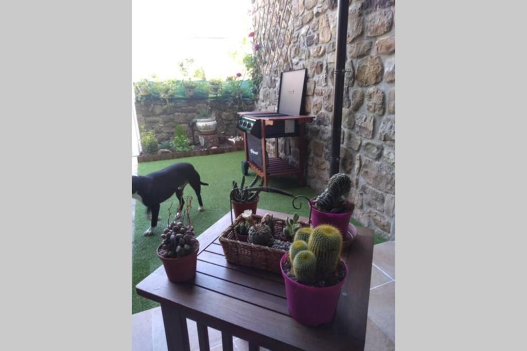 Casa Con Vistas En Ucieda Villa Kültér fotó